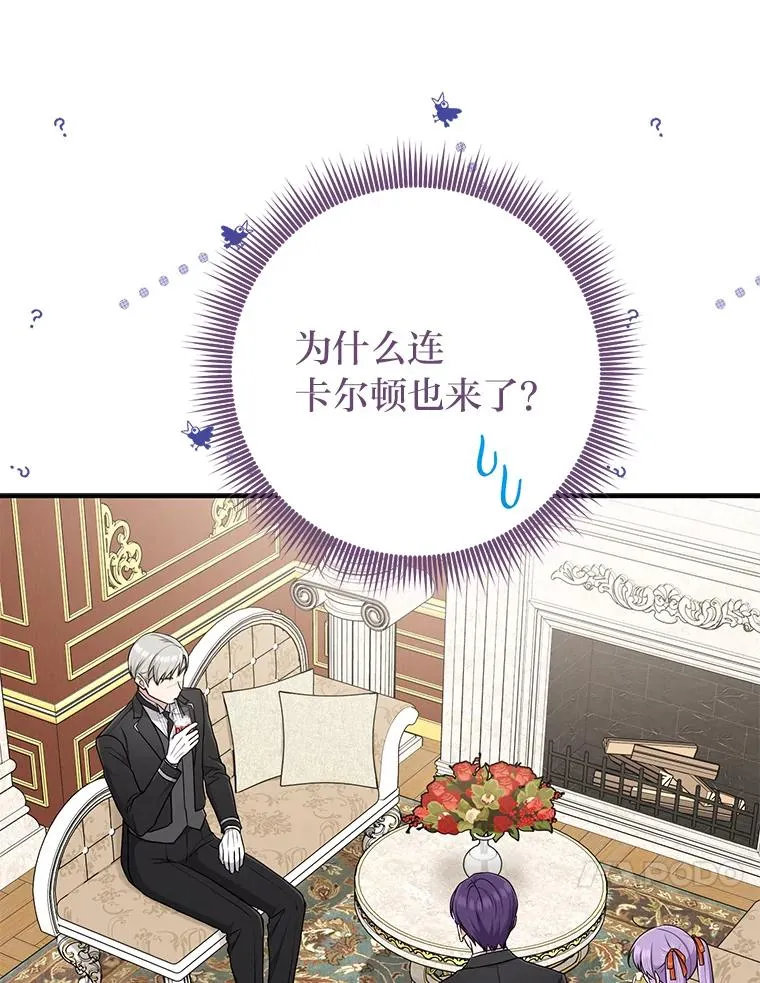 76.76 第75页