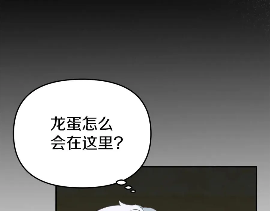 第17话 贵重的回礼 第171页