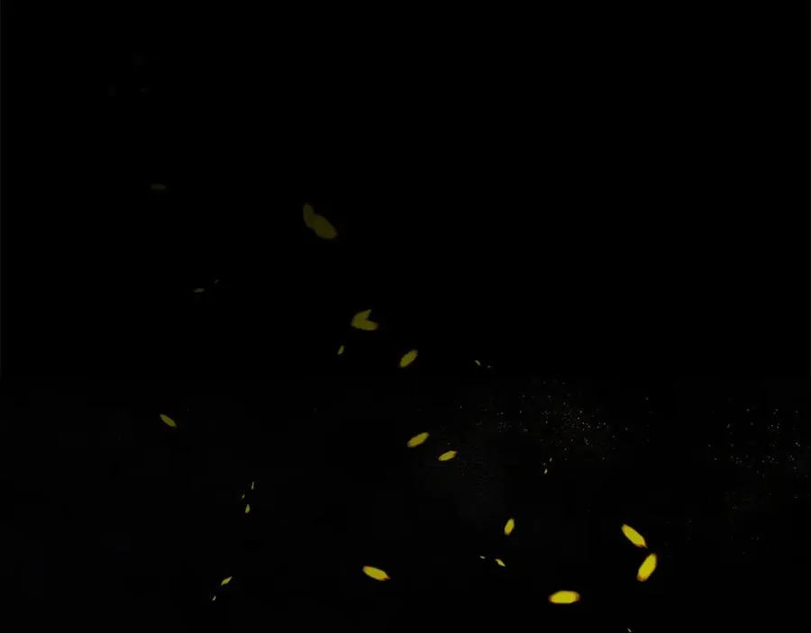 第21话 安抚噩梦 第238页