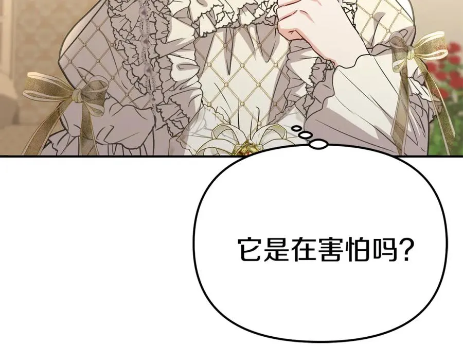 第41话 最好的礼物 第271页