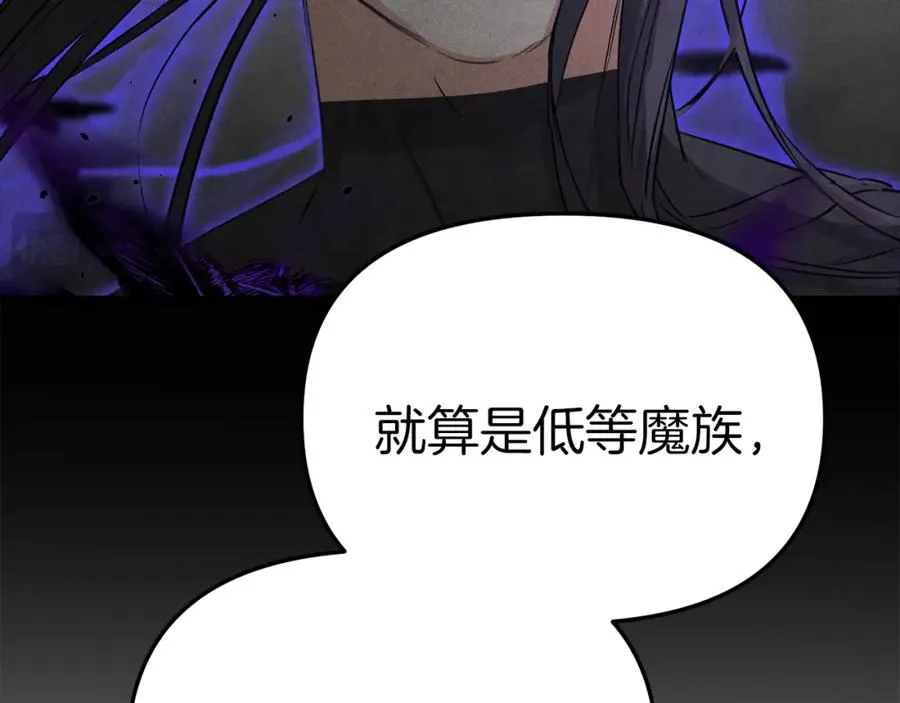 第一季完结篇 魔王的心头宠（加更） 第114页