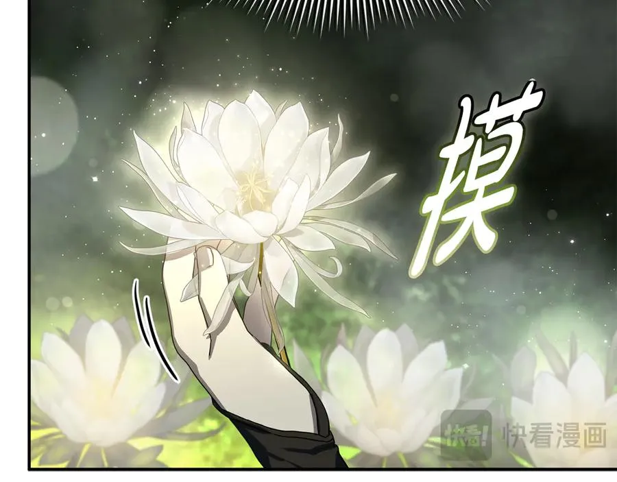 第71话 失踪了！ 第207页