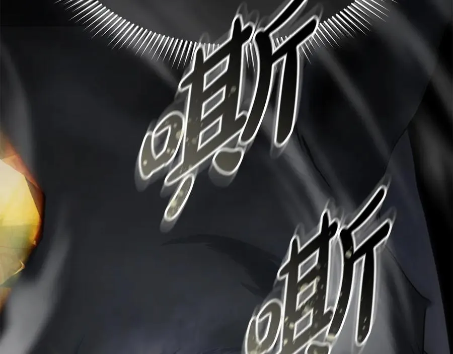 第78话 主人的希望 第207页