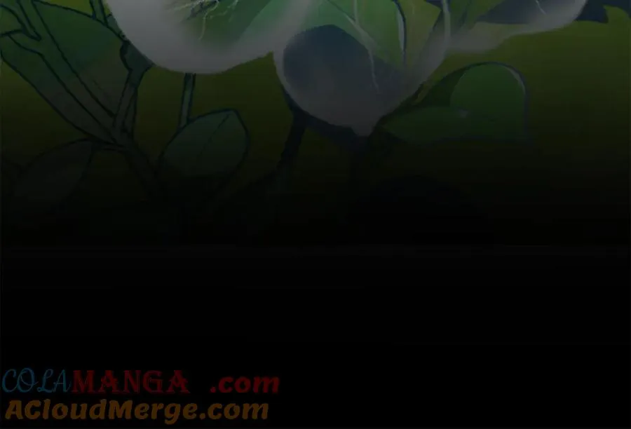 第102话 神奇的花 第193页