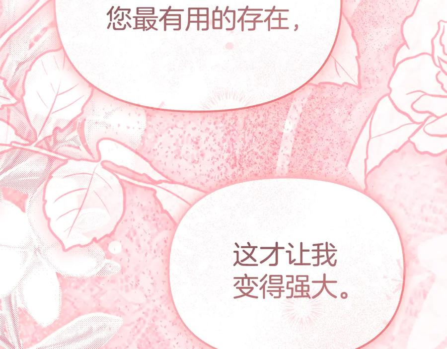 第二季完结篇 实现愿望 第146页