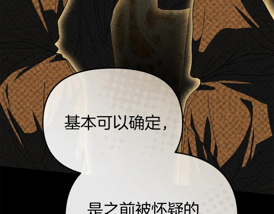第二季完结篇 实现愿望 第196页