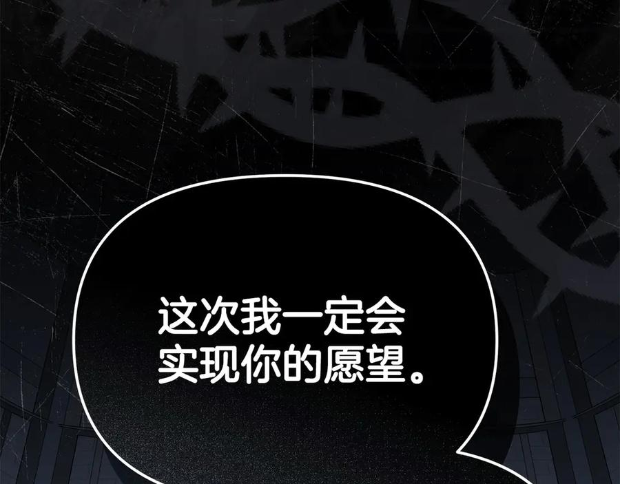 第二季完结篇 实现愿望 第258页