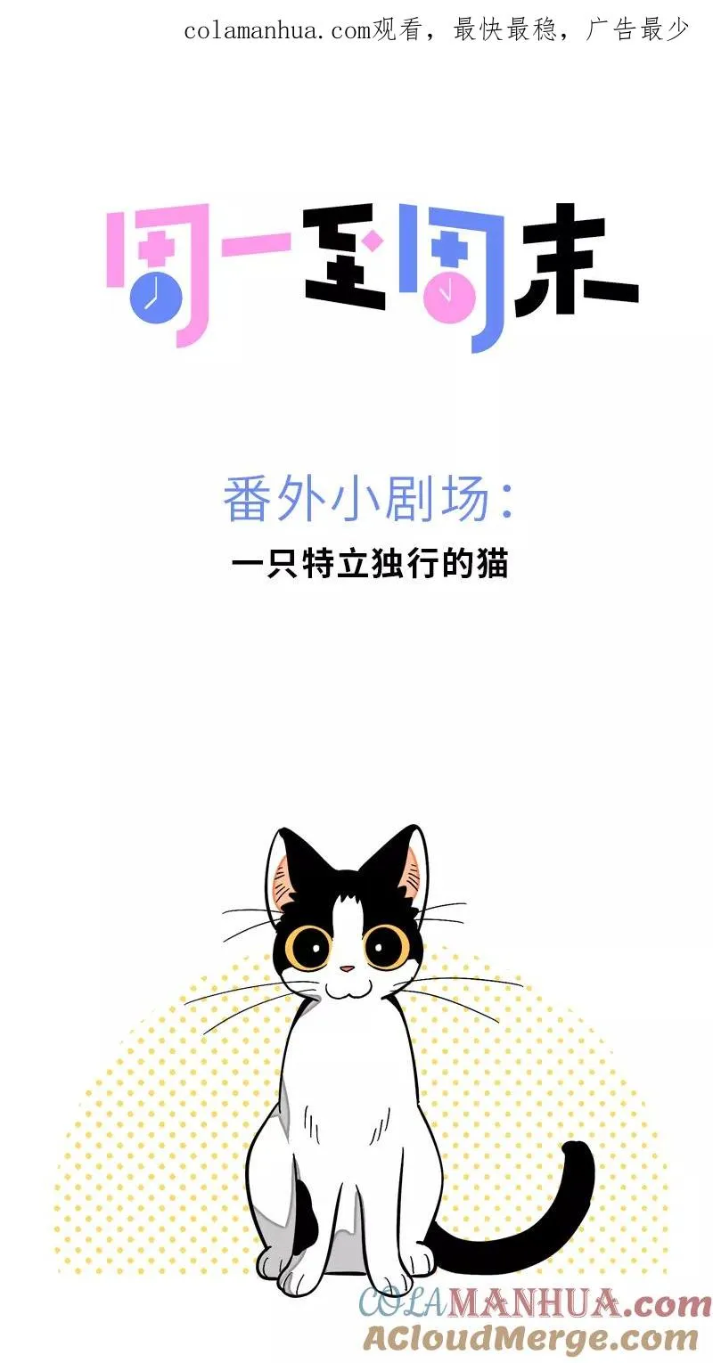 第11话 一只特立独行的猫 第1页