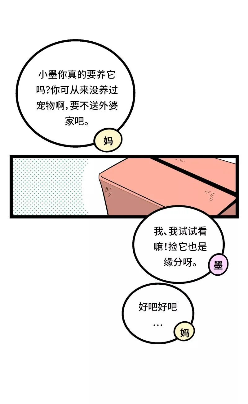 第11话 一只特立独行的猫 第3页