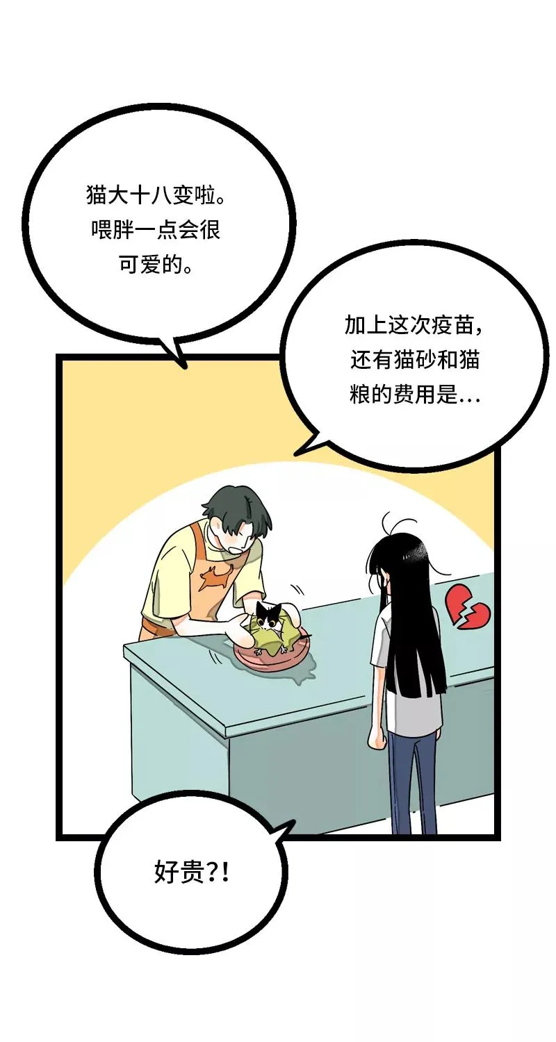 第11话 一只特立独行的猫 第6页