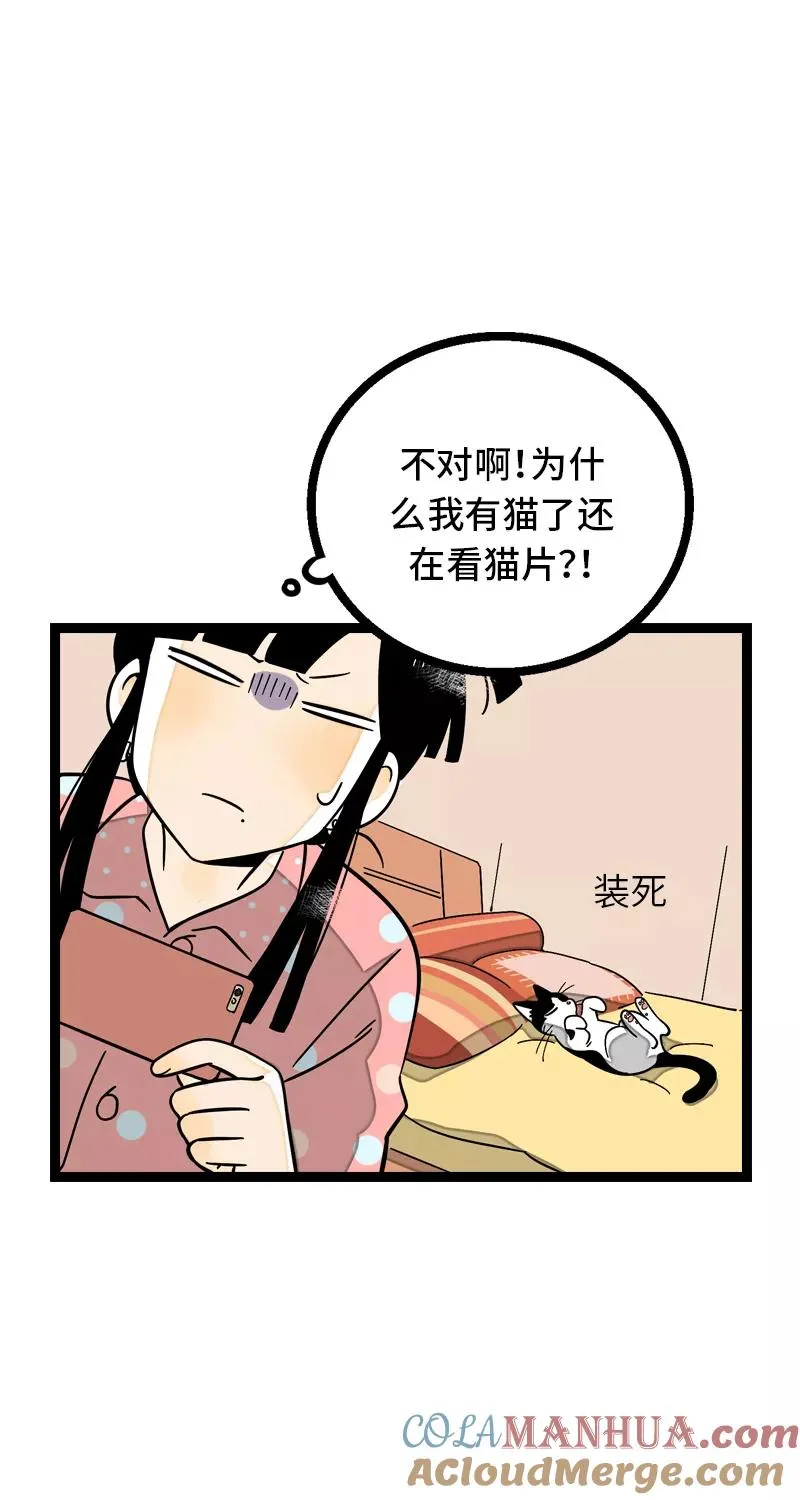 第11话 一只特立独行的猫 第10页