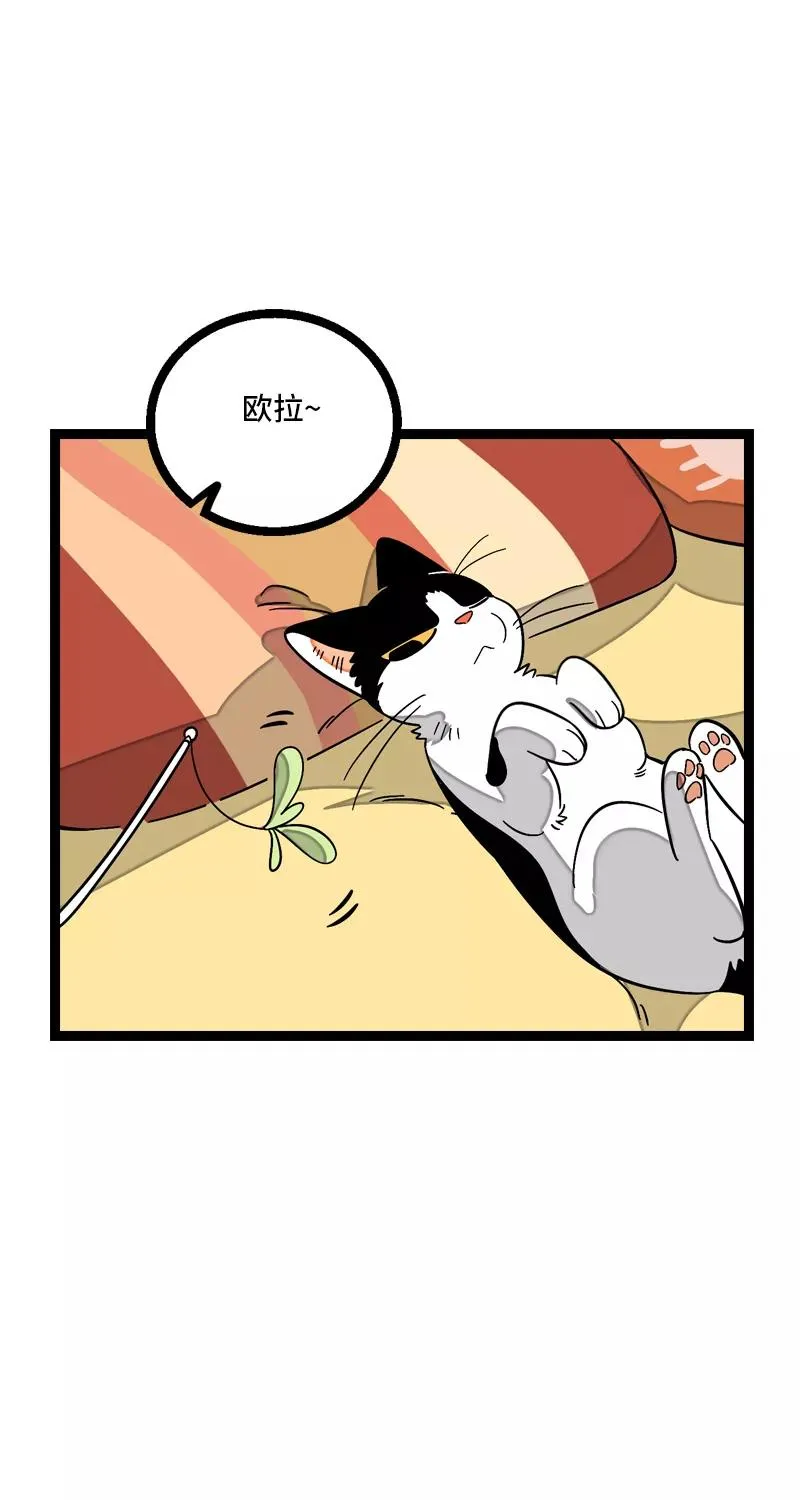 第11话 一只特立独行的猫 第11页