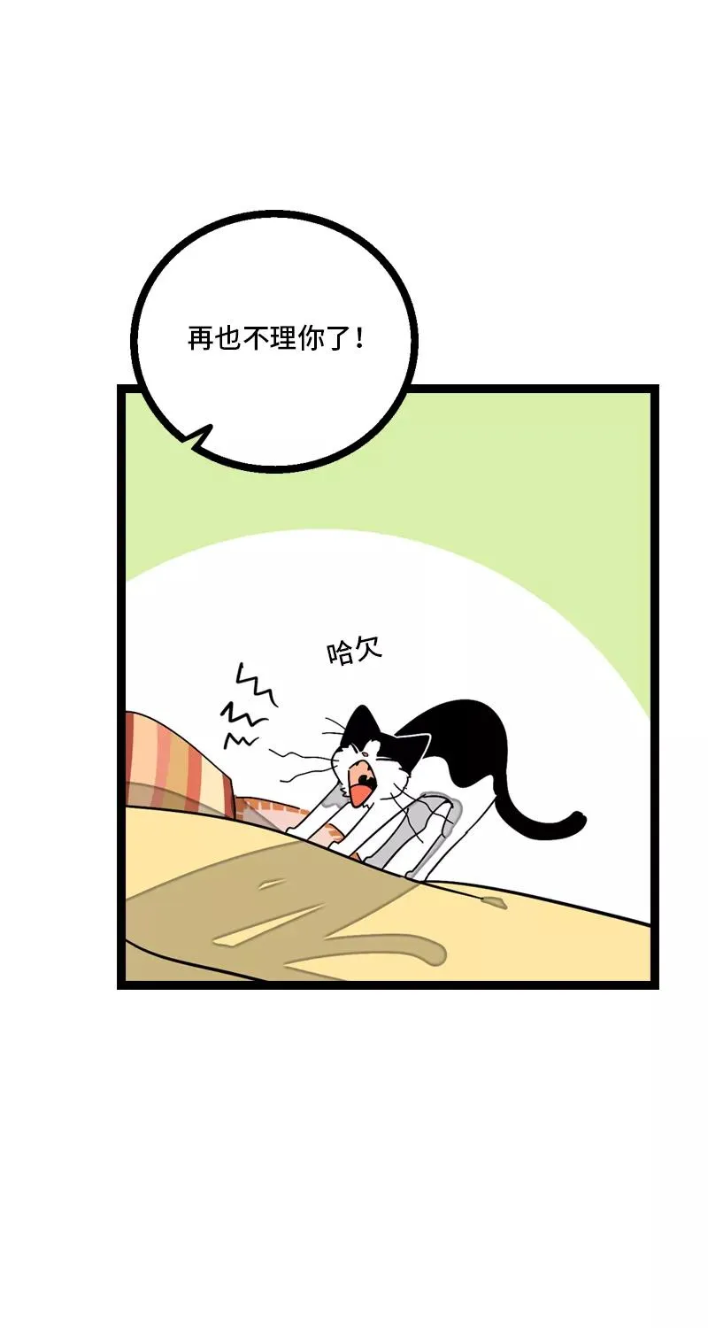 第11话 一只特立独行的猫 第14页