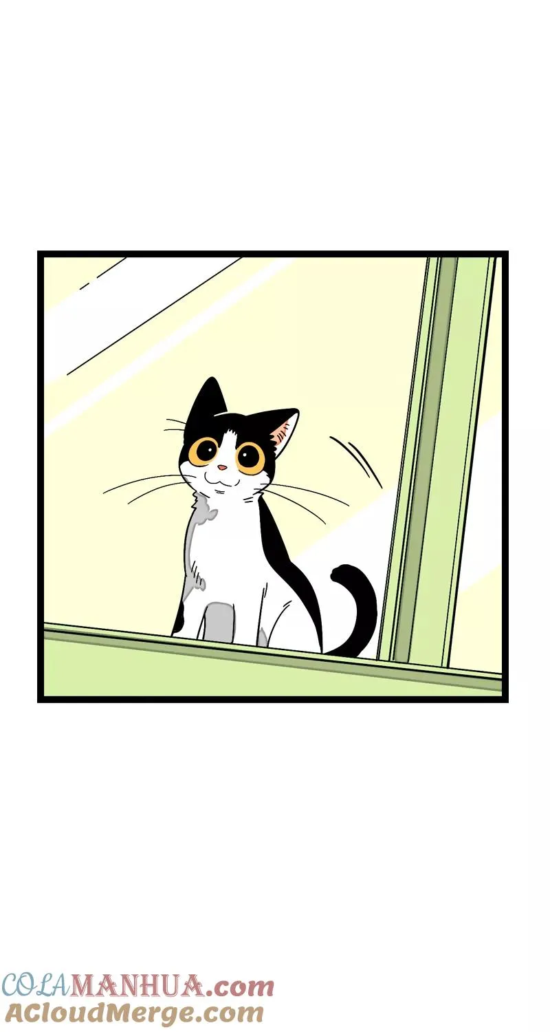 第11话 一只特立独行的猫 第19页