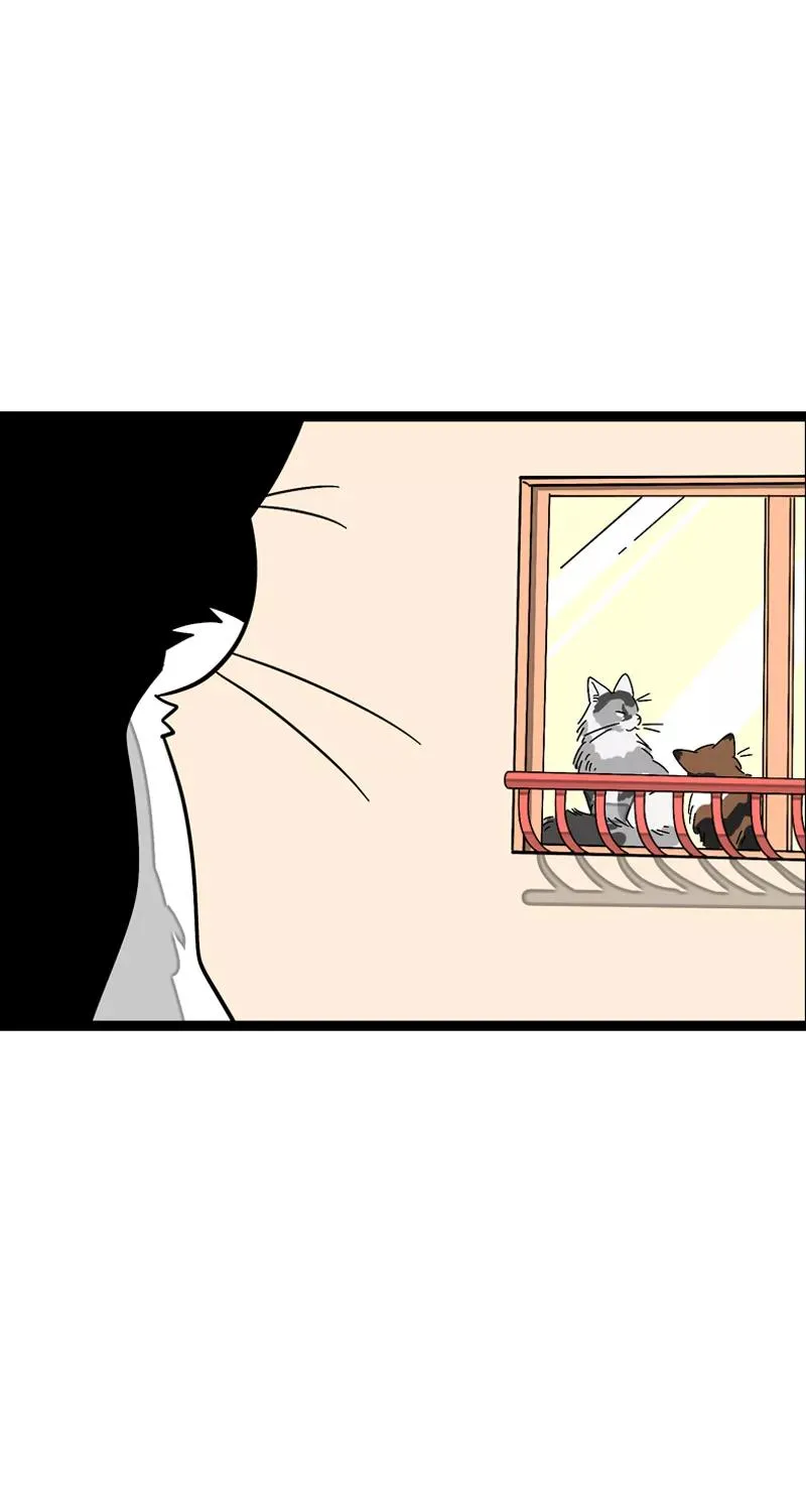 第11话 一只特立独行的猫 第20页