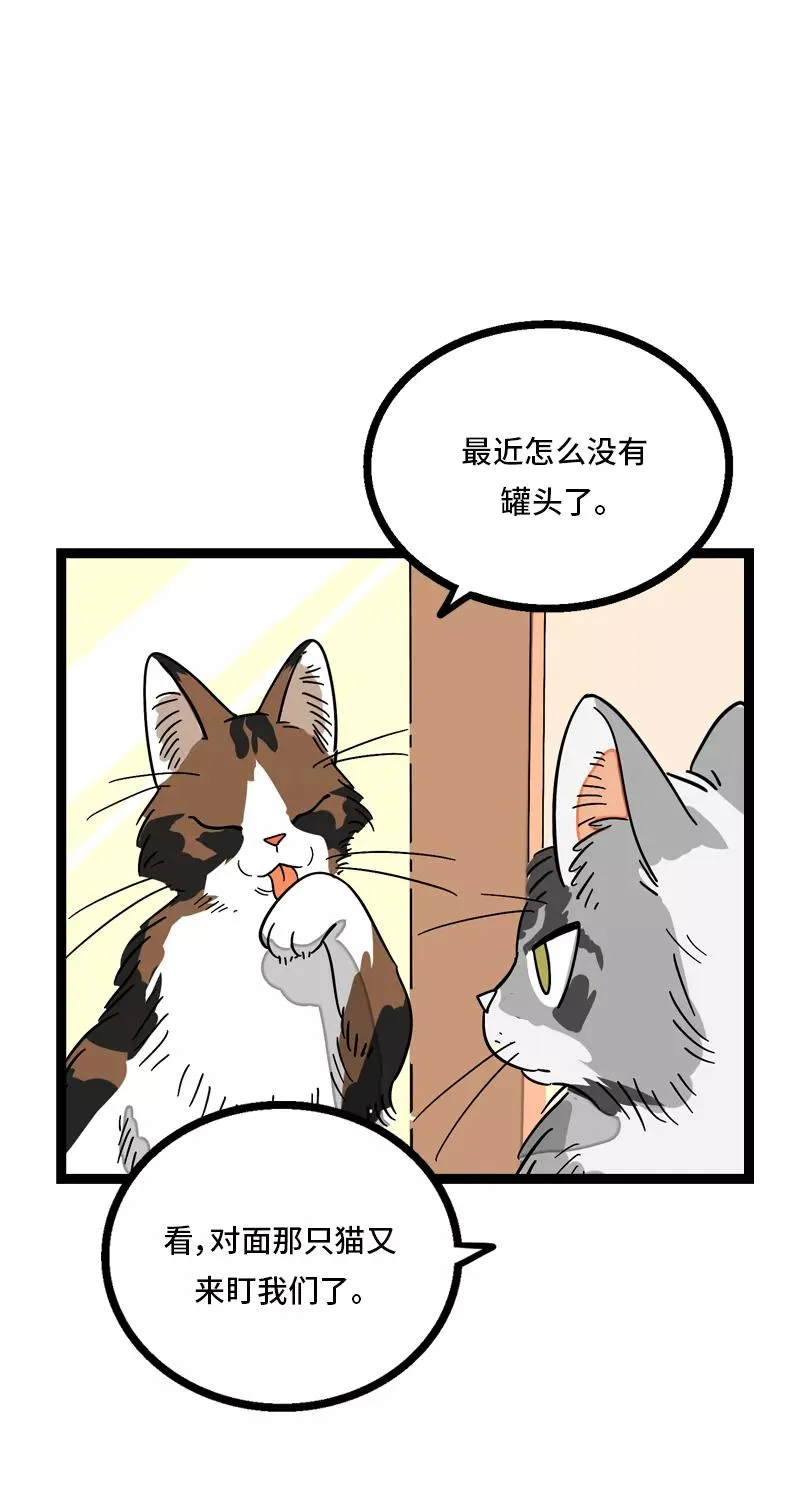 第11话 一只特立独行的猫 第21页