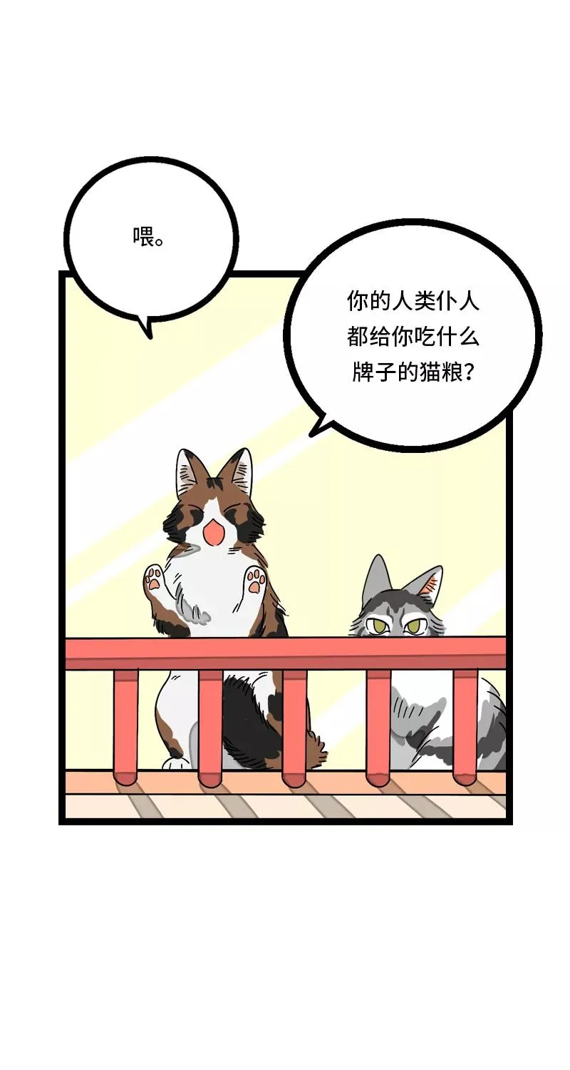 第11话 一只特立独行的猫 第23页