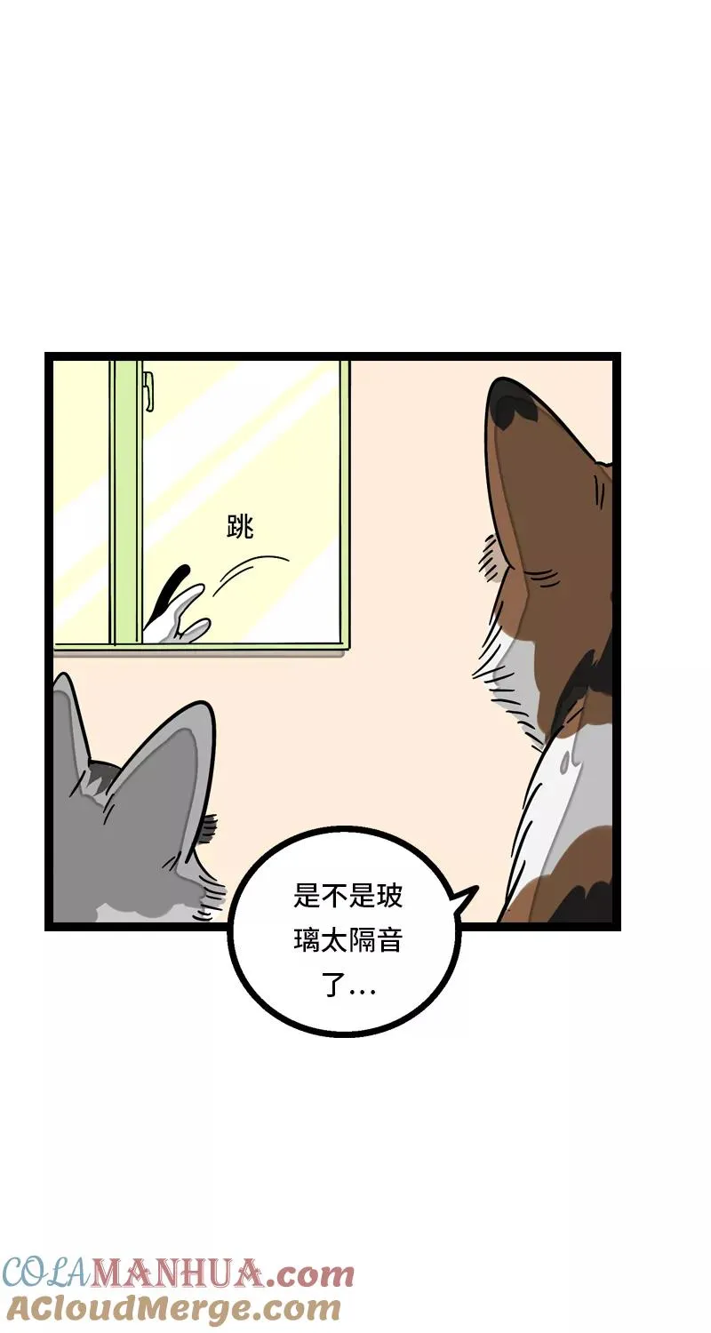 第11话 一只特立独行的猫 第25页
