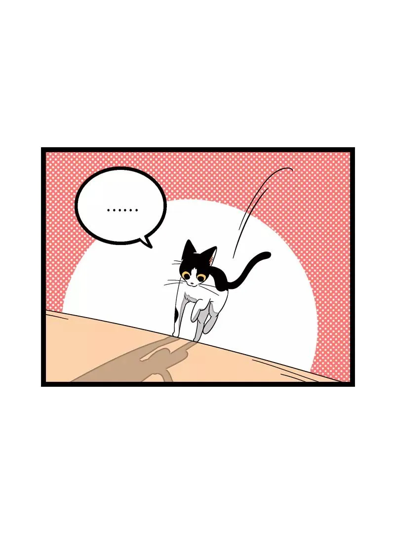 第11话 一只特立独行的猫 第26页