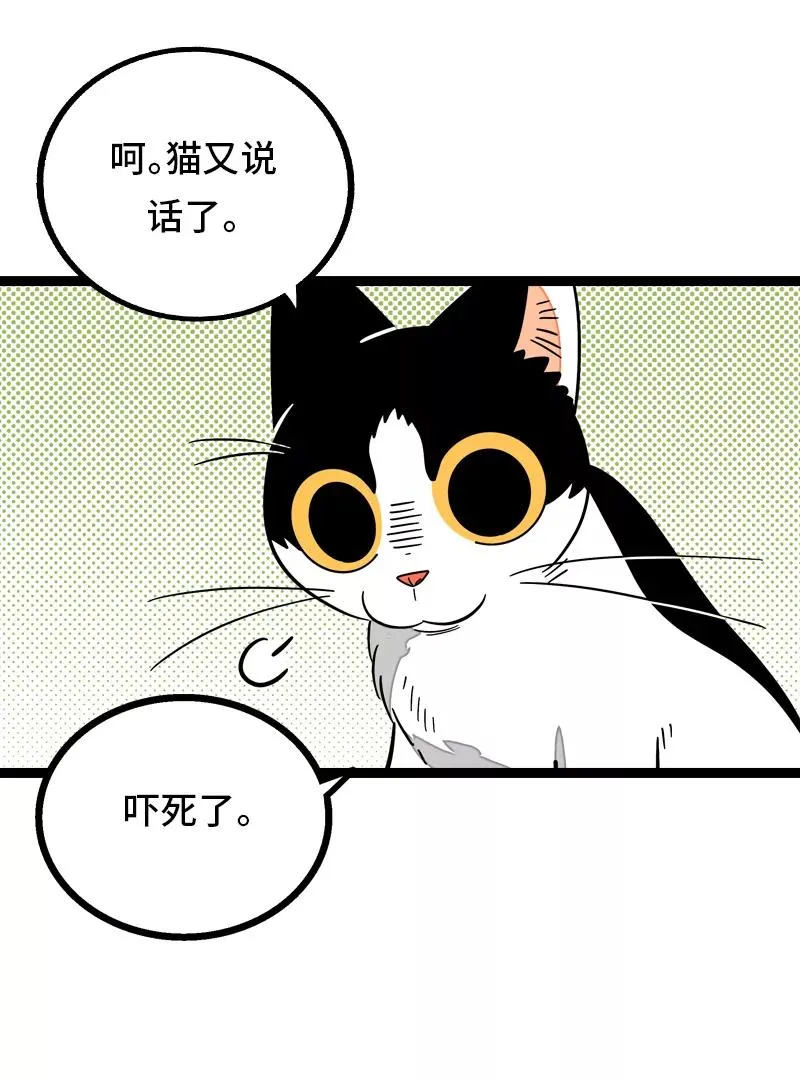 第11话 一只特立独行的猫 第27页