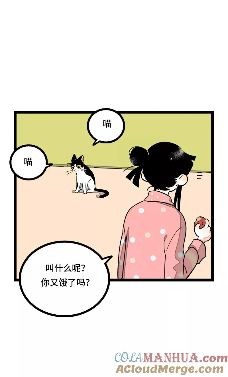 第11话 一只特立独行的猫 第28页