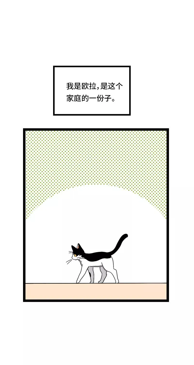 第11话 一只特立独行的猫 第30页