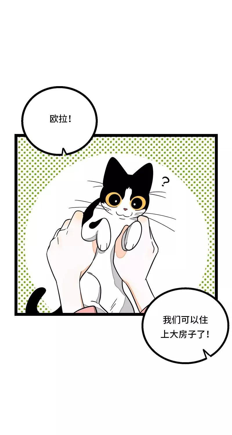 第11话 一只特立独行的猫 第36页