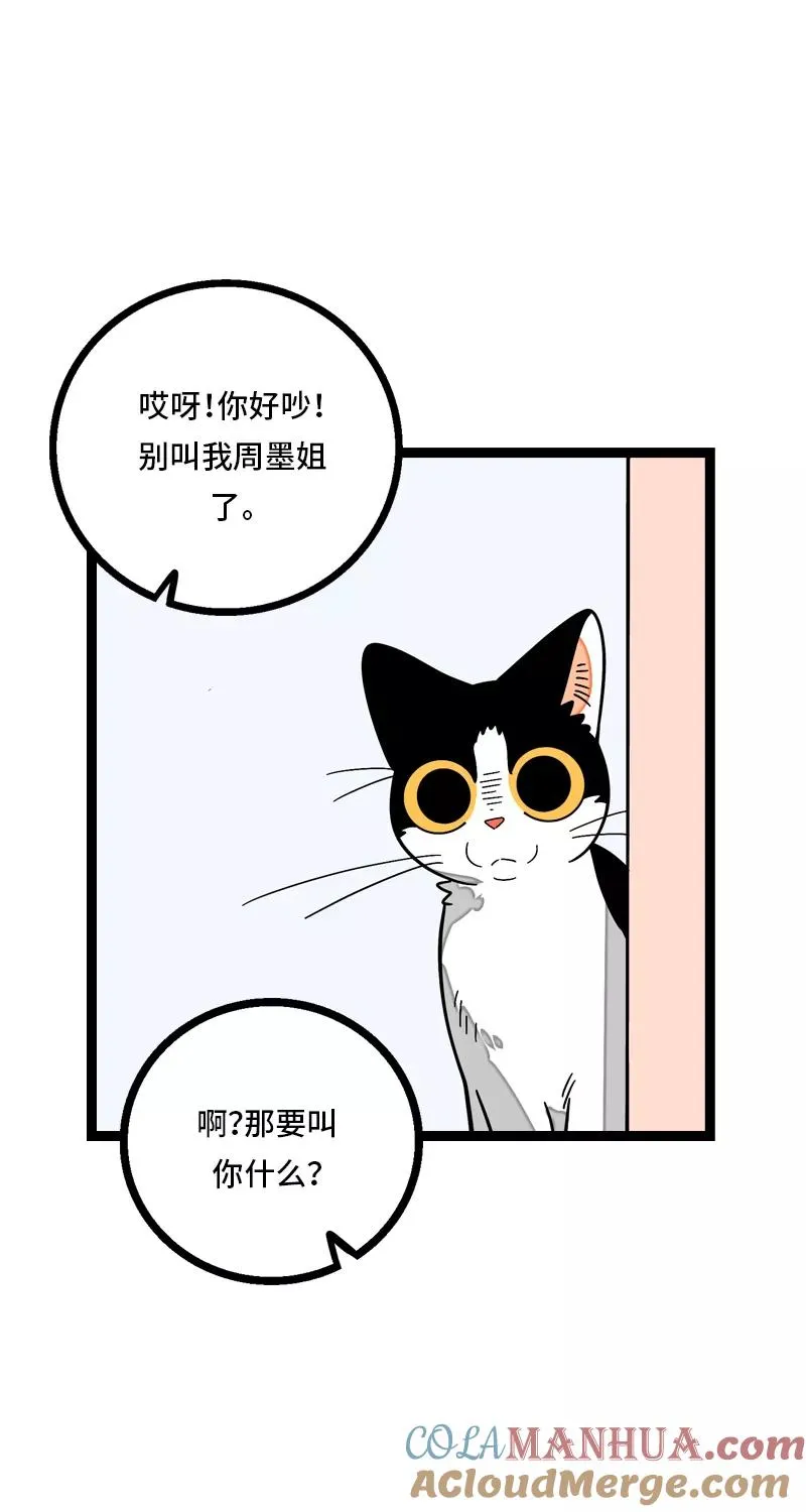 第11话 一只特立独行的猫 第40页