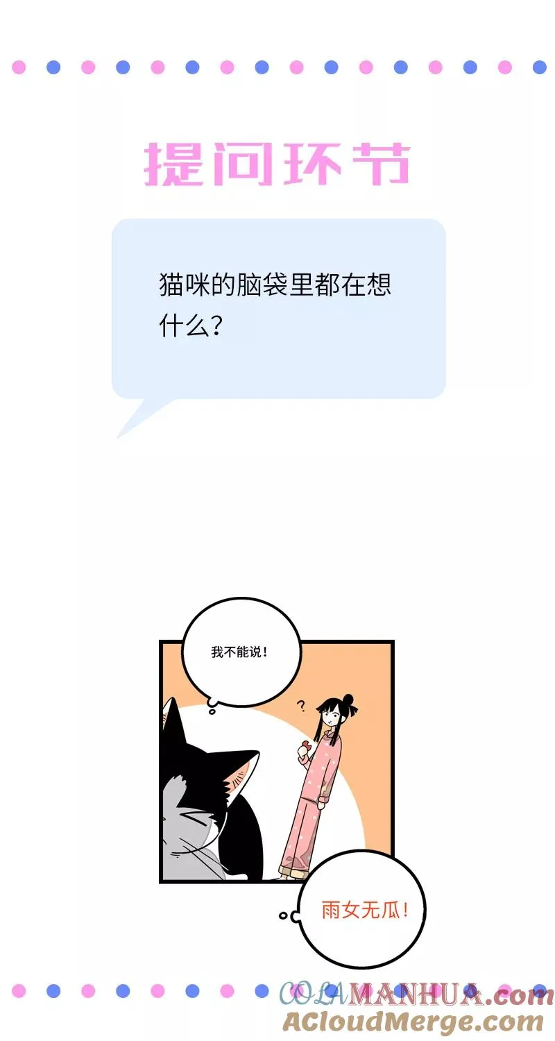 第11话 一只特立独行的猫 第46页