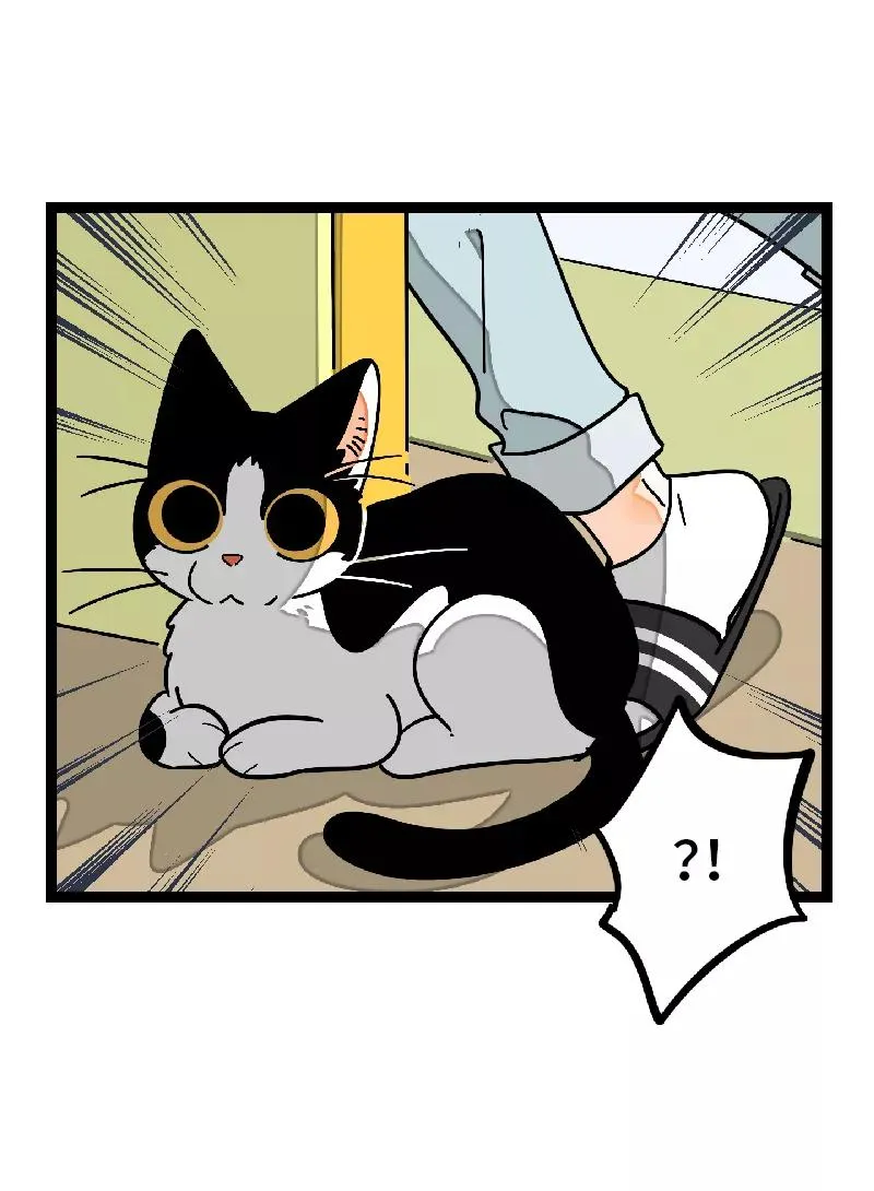 第30话 甜蜜的笑容 第14页