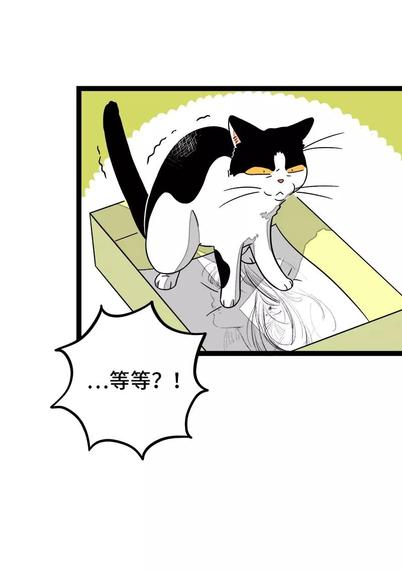第36话 一个人的寂寞两个人的错 第15页