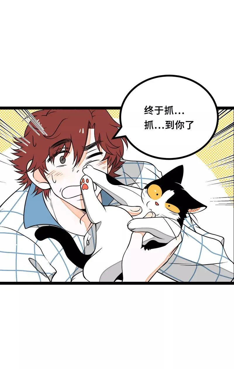 第44话 感情白痴 第47页