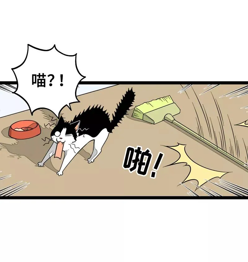 第47话 一窗之隔 第5页