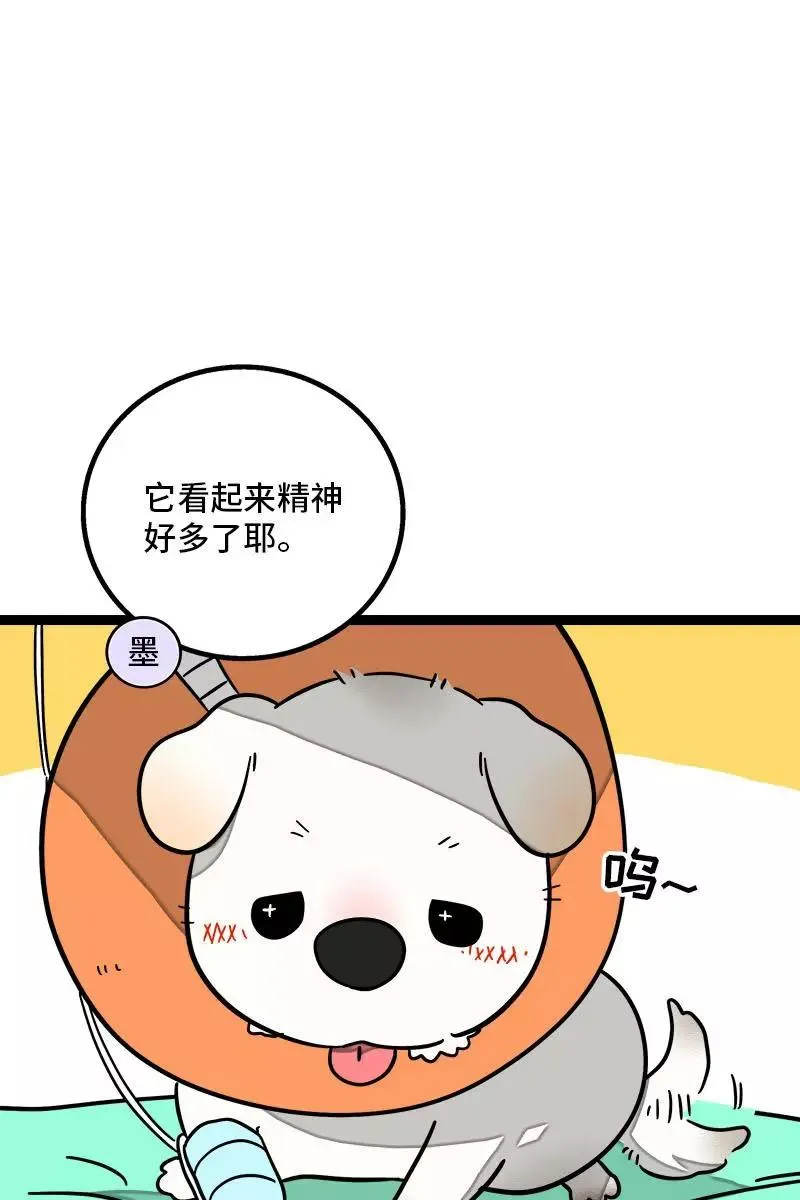 第70话 幸运的小狗 第3页