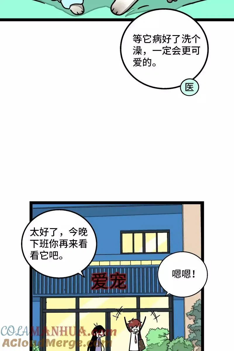 第70话 幸运的小狗 第4页