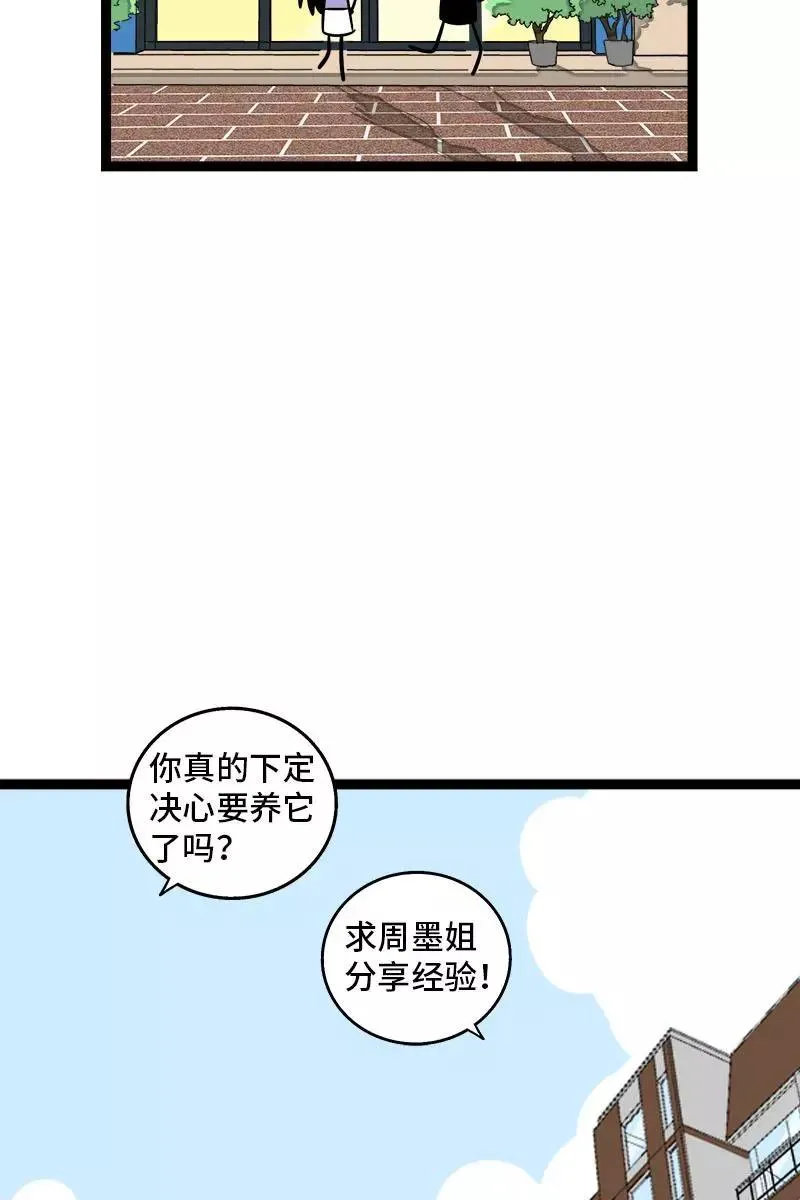第70话 幸运的小狗 第5页
