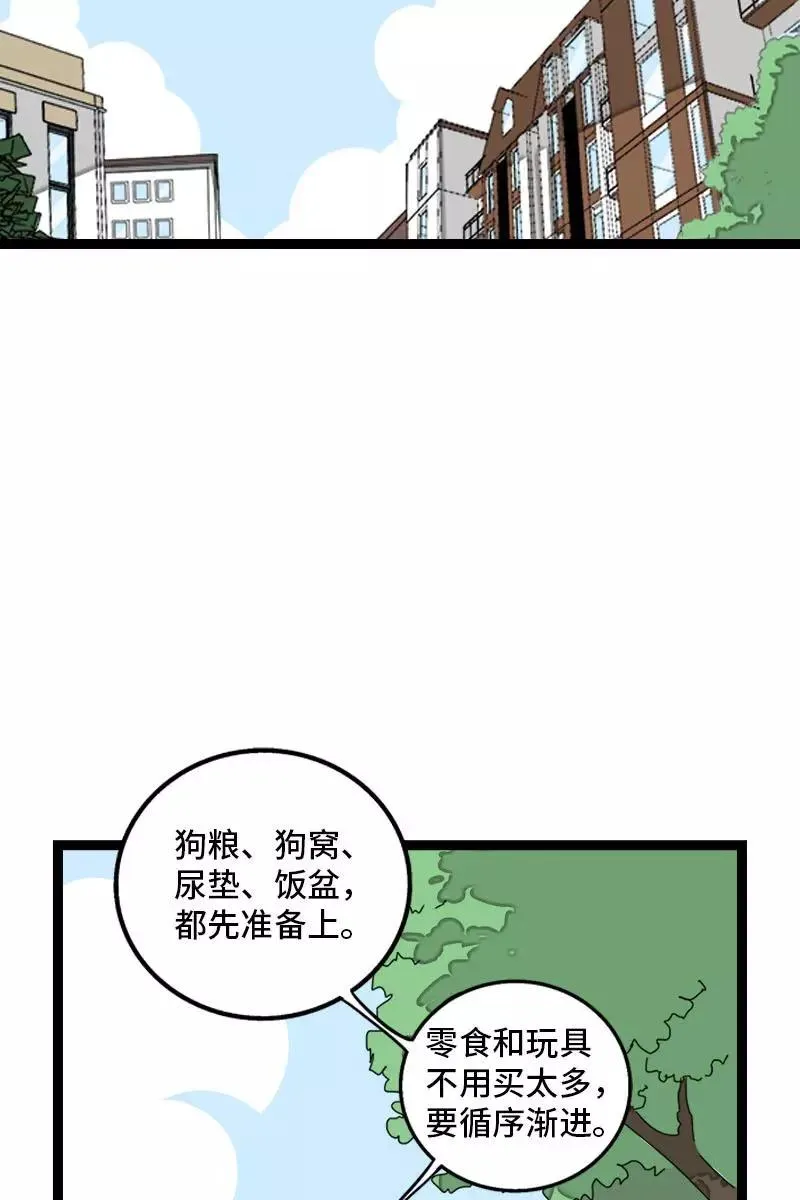 第70话 幸运的小狗 第6页