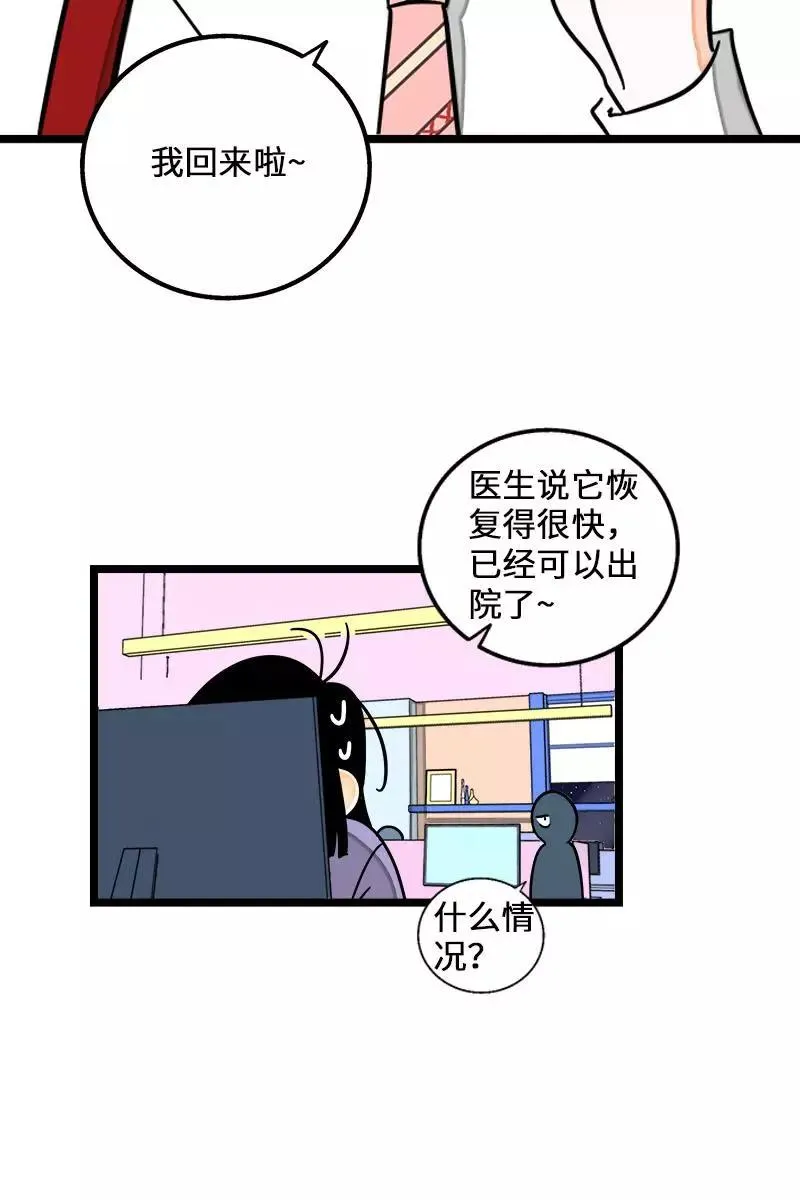 第70话 幸运的小狗 第35页