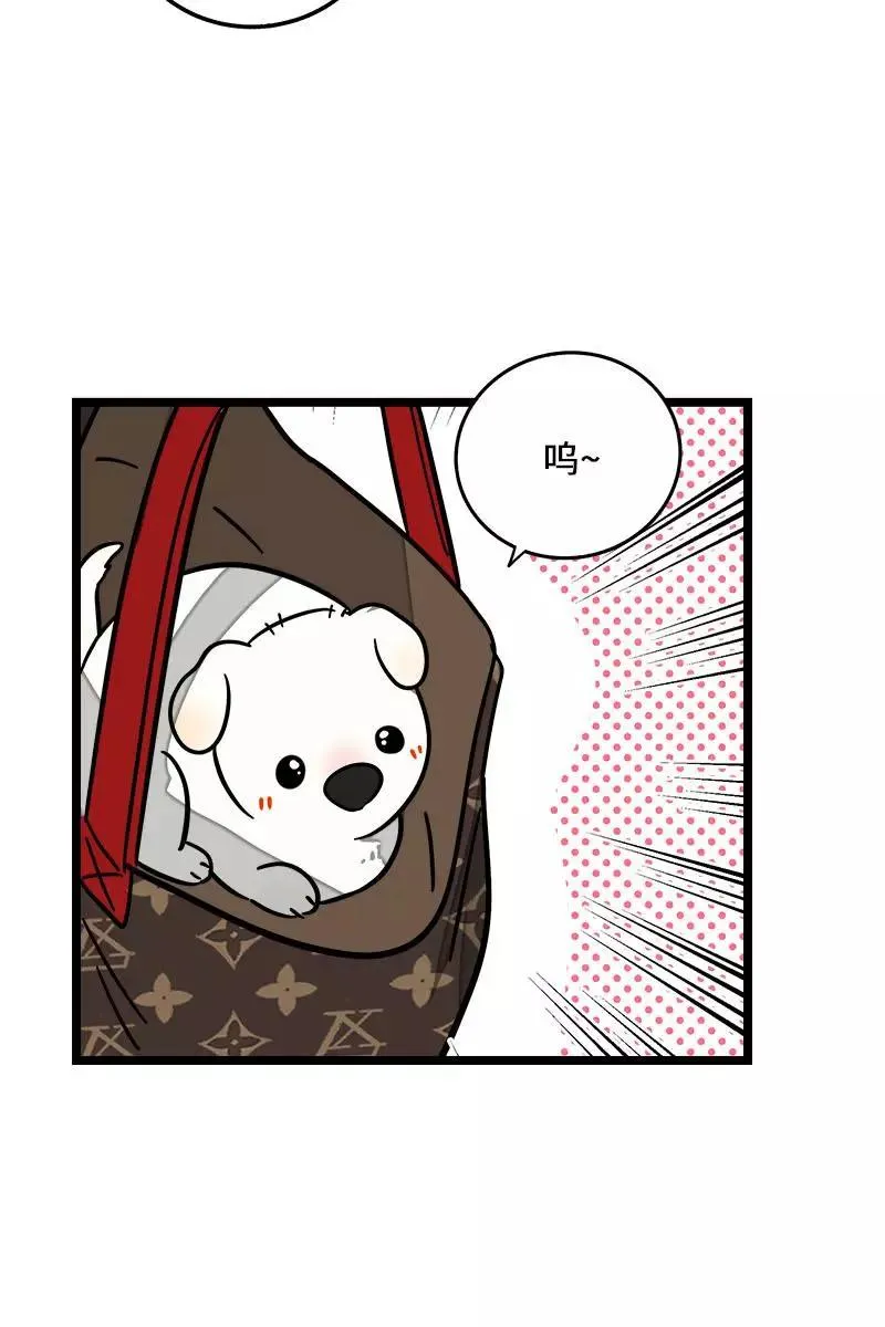 第70话 幸运的小狗 第38页
