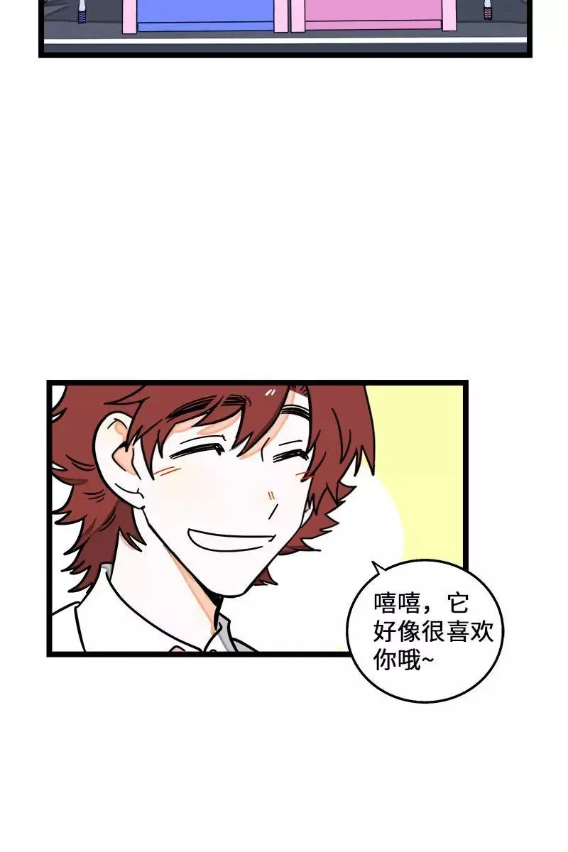 第70话 幸运的小狗 第41页