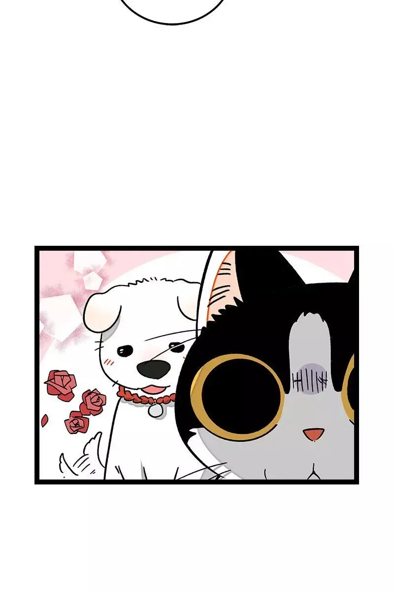 第73话 家的感觉 第15页