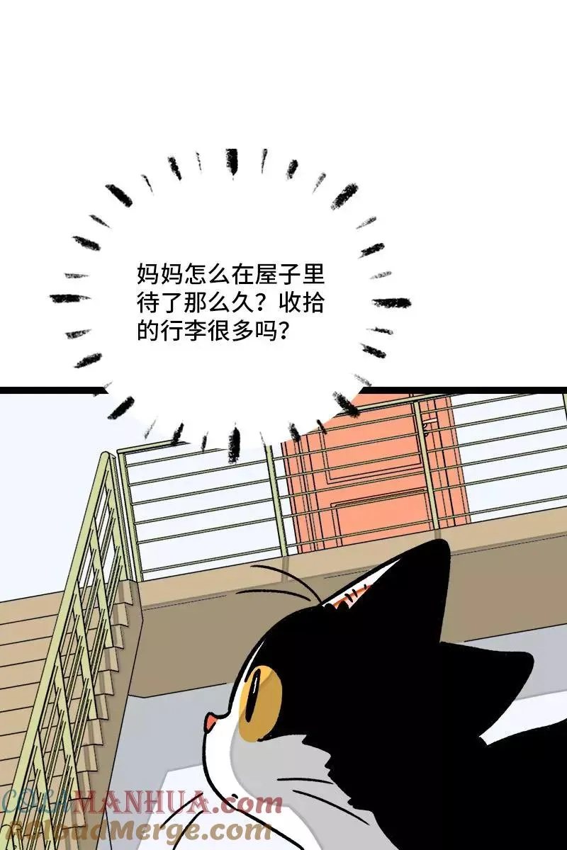 第77话 小鱼干之神 第3页