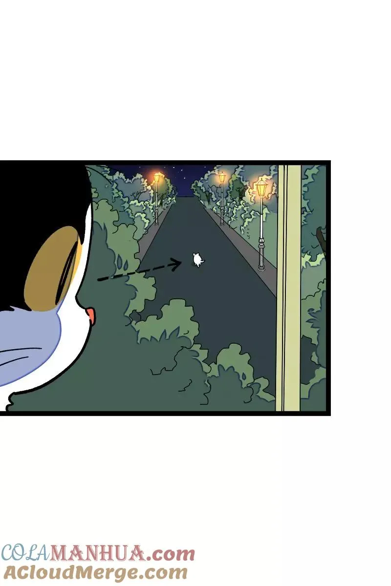 第77话 小鱼干之神 第5页