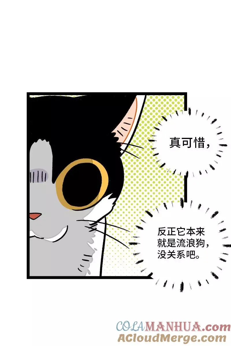 第77话 小鱼干之神 第9页