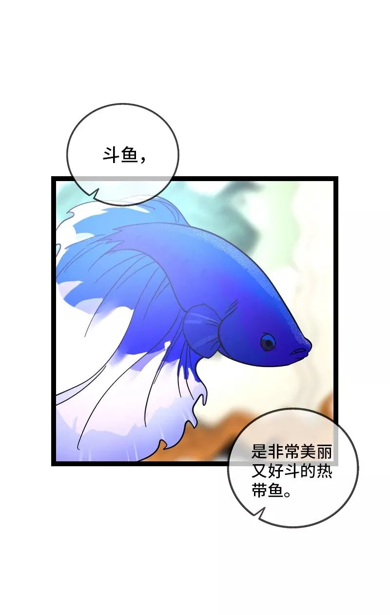 第138话 斗鱼 第3页