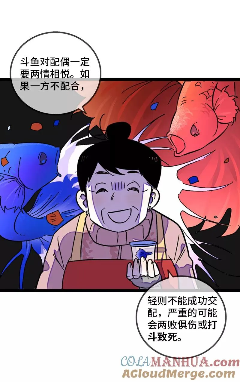 第138话 斗鱼 第4页