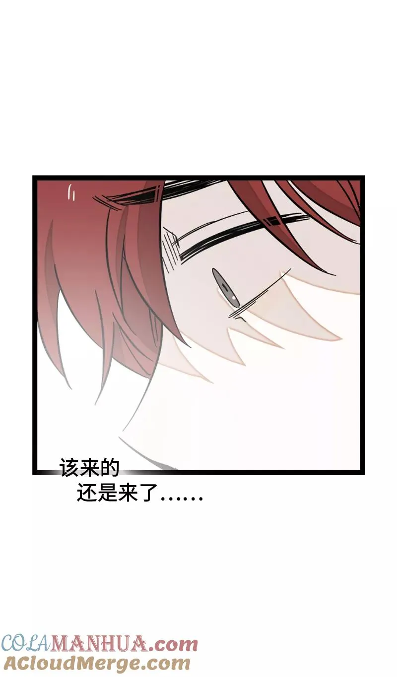 第144话 男主人 第37页