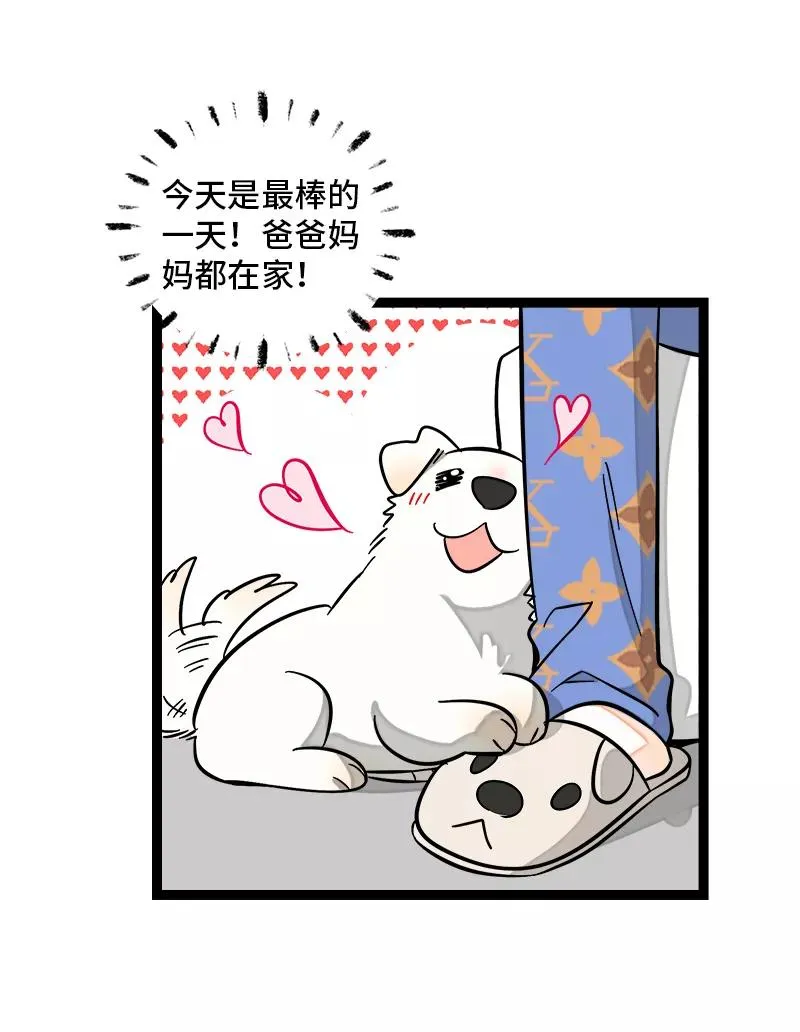 第148话 逃避无耻且无用 第5页