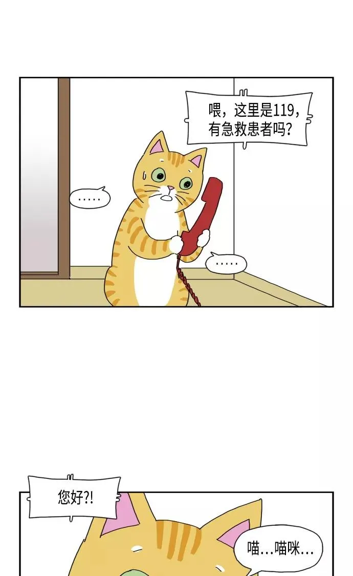 第51话 第60页