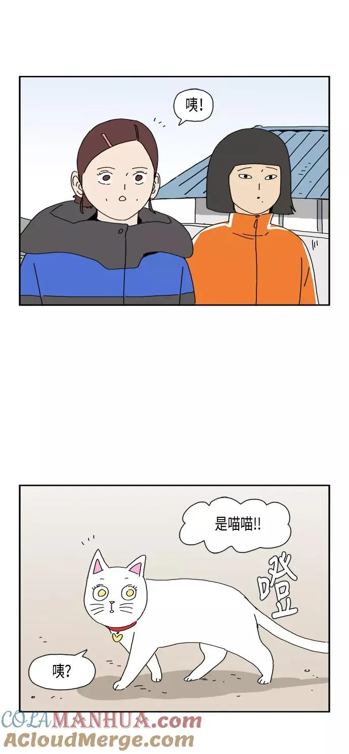 第81话 第19页